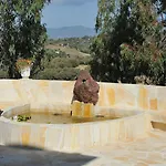Desideria Капитана