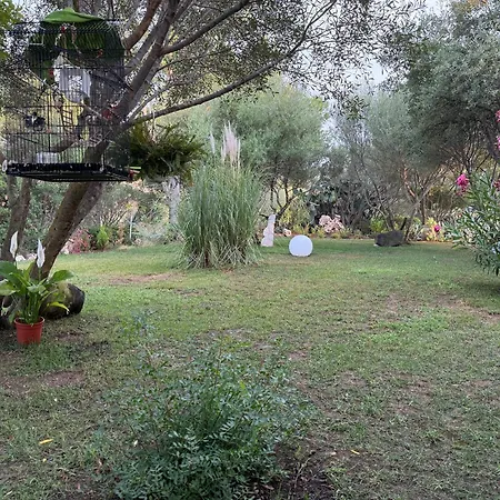 Desideria Bed & Breakfast 4*