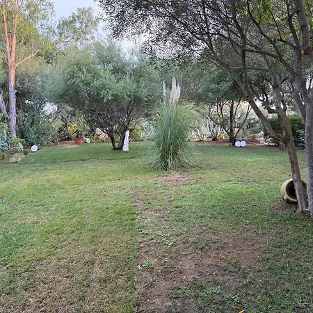 Desideria Капитана
