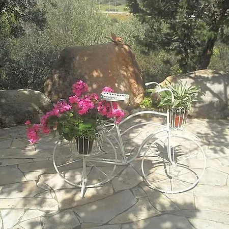Bed & Breakfast Desideria