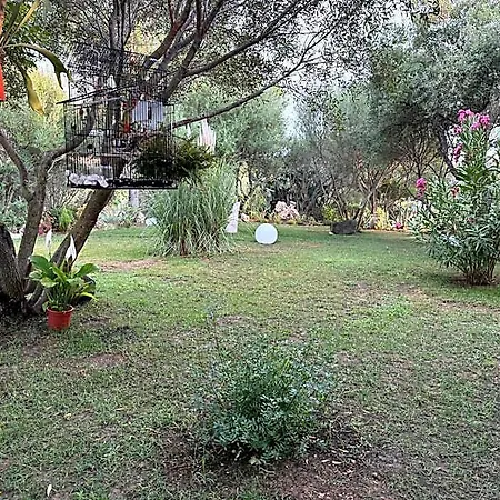 Desideria Capitana