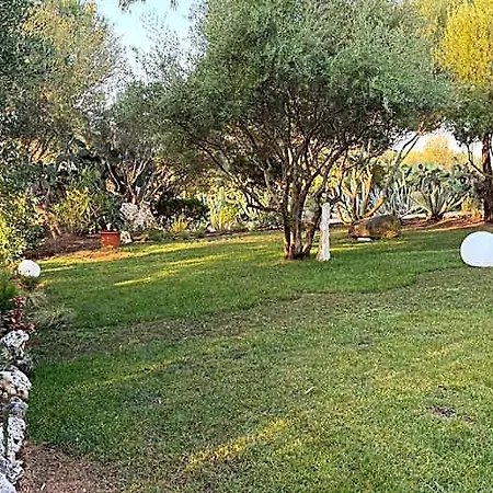 Desideria Bed & Breakfast Capitana