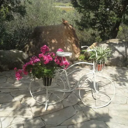 Bed & Breakfast Desideria